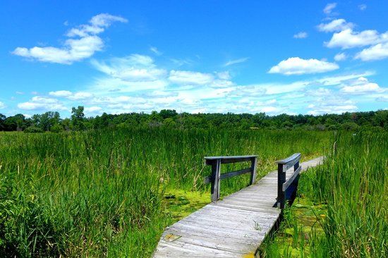 Moraine Hills State Park