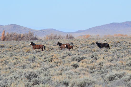 Los Caminos Antiguos