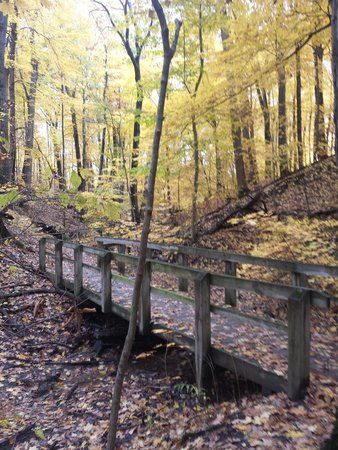 Bailly Homestead and Chellberg Farm