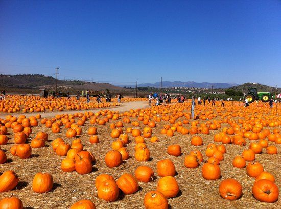 Underwood Family Farms