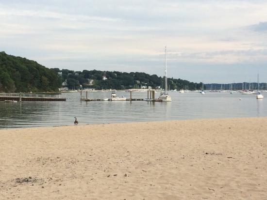 Morgan Memorial Park