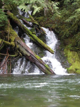 Salmon-Huckleberry Wilderness