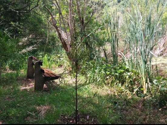 Pledge Nature Reserve