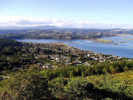 Margaret's Viewpoint