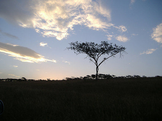 Tala Private Game Reserve