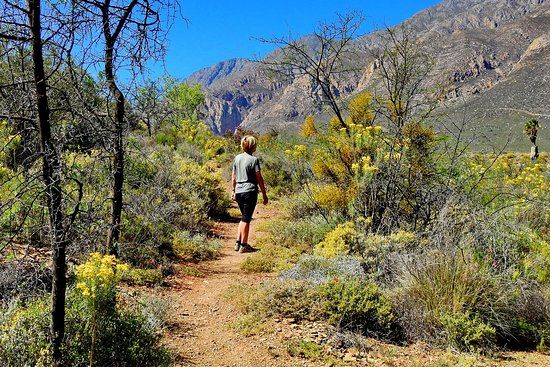 Montagu Nature Garden