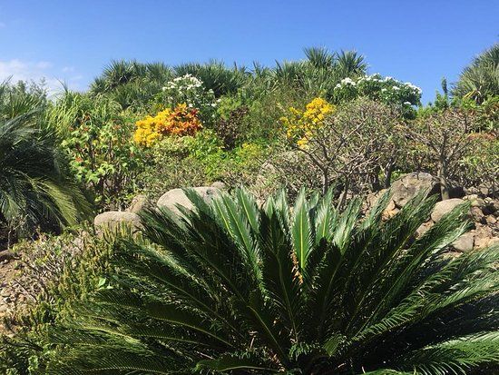 Roasted Coffee Estate