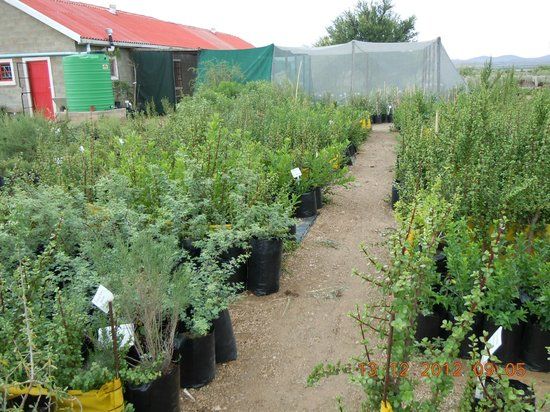 Wolwekraal Nature Reserve