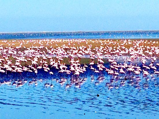 Long Beach Leisure Park