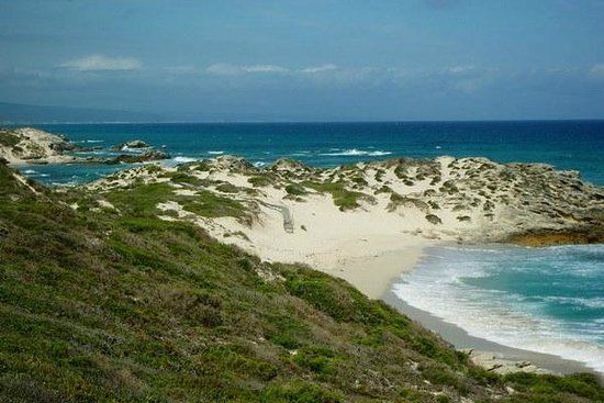 De Hoop Nature Reserve