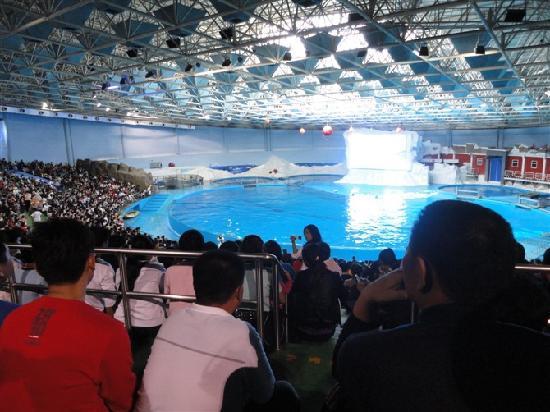 Qingdao Haitun Show Hall