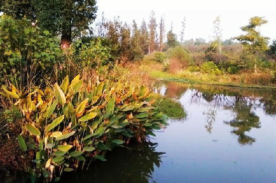 Hangzhou Forest Park