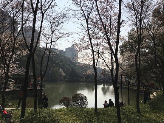 Wangyue Park