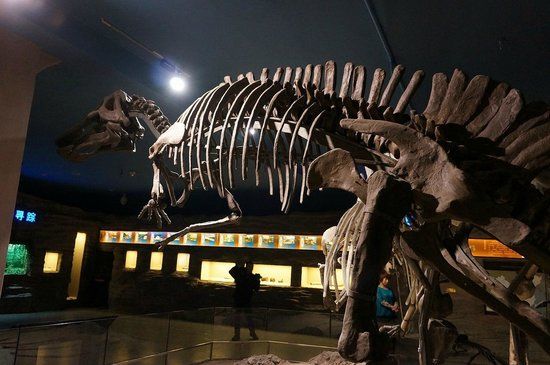 Heilongjiang Provincial Museum