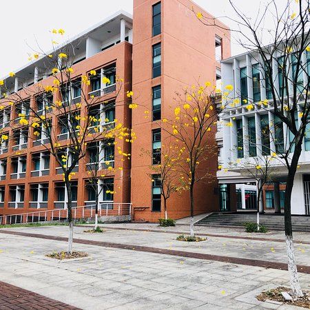 Guangdong University of Technology Library