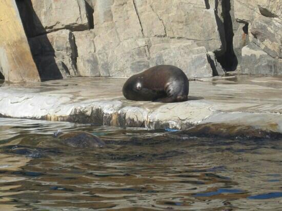 Hanhai Polar Ocean World