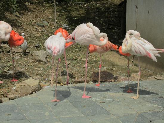 Wenzhou Zoo