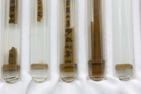 Yinqueshan Han Bamboo Slips Museum