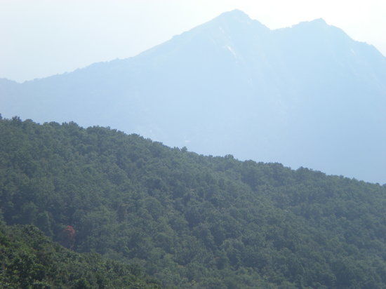 Indira Gandhi Wildlife Sanctuary and National Park