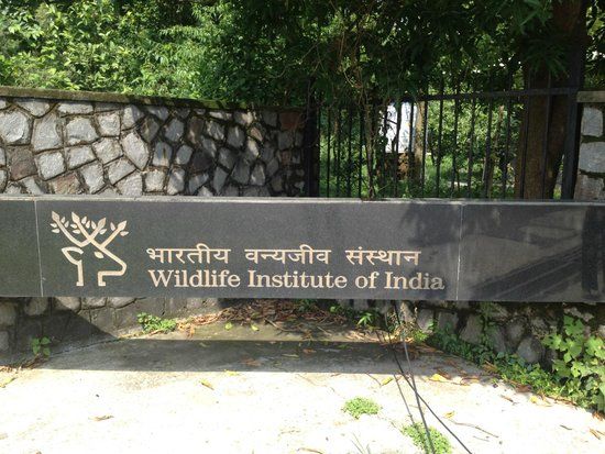 Wildlife Institute Of India