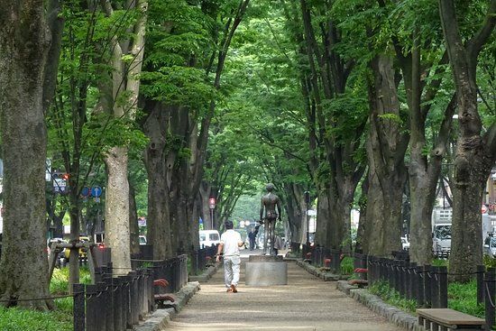 Aoba-dori Avenue