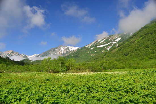 Tsugaike Natural Park