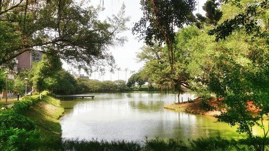 National Central University