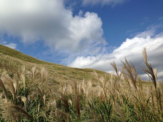 Inatori Hosono Kogen