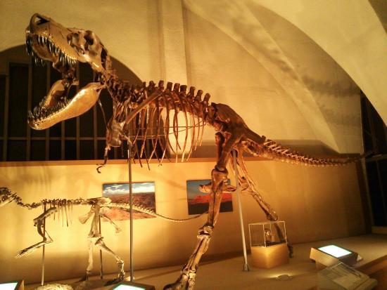 Marine Science Center