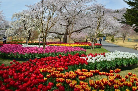 Hamamatsu Flower Park