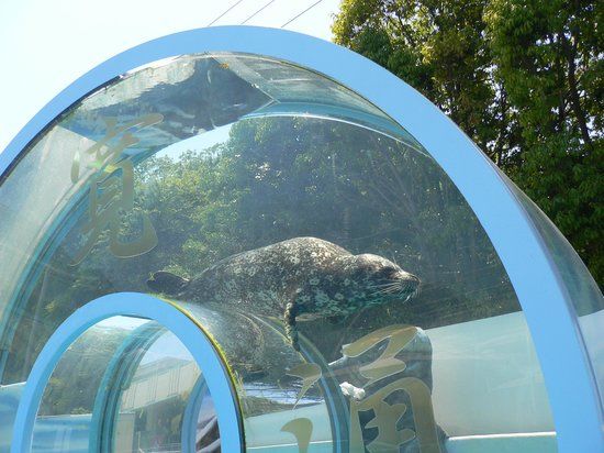 New Yashima Aquarium