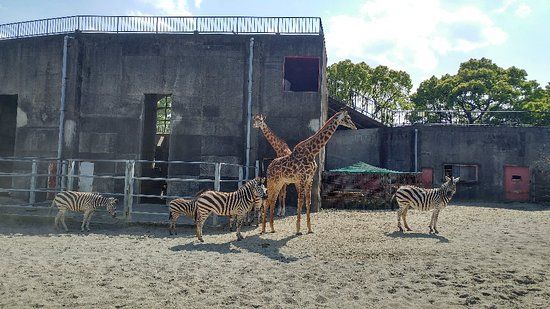 Zoo Miyazaki Phoenix