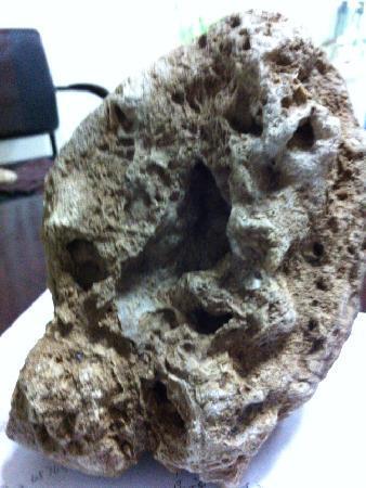 Baoji Municipal Museum