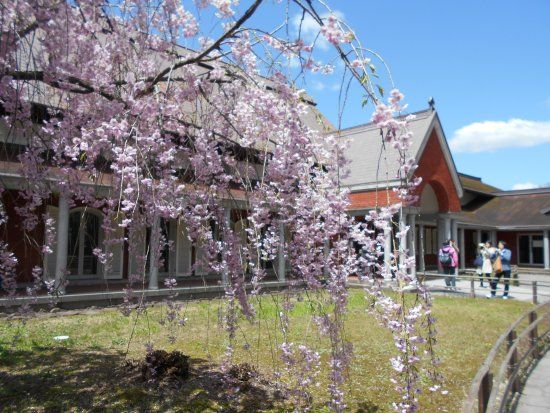 Kakunodate Cherry-Bark Craft Center
