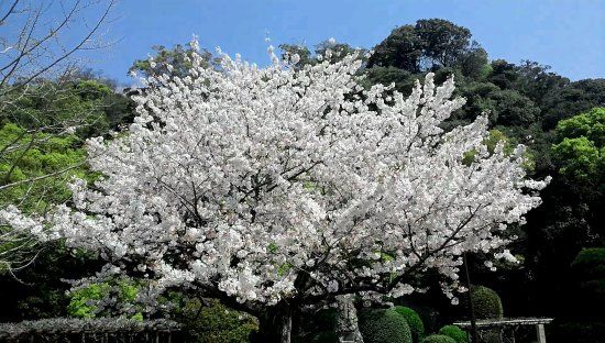Tokushima Central Park