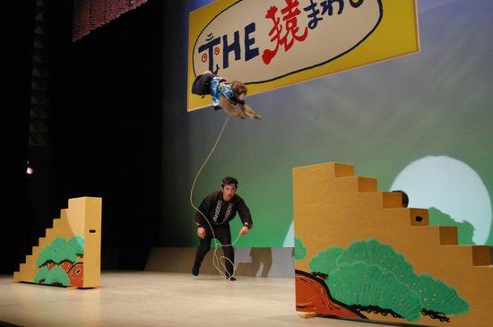 Monkey Showman Theater