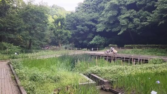 Higashitakane Forestry Park