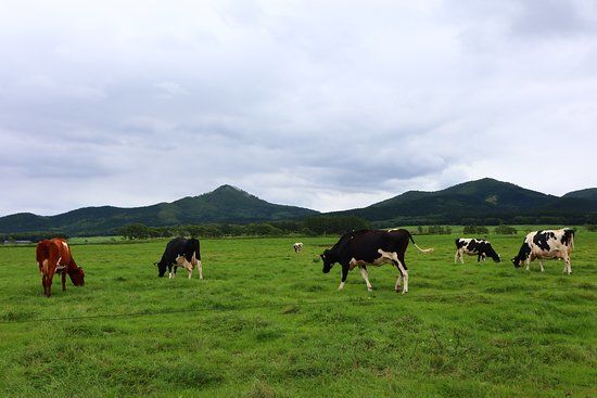 Watanabe Experience Farm