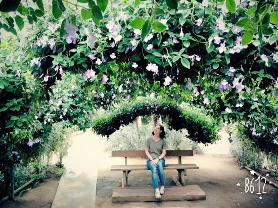 Saegae Ggot Botanical Garden