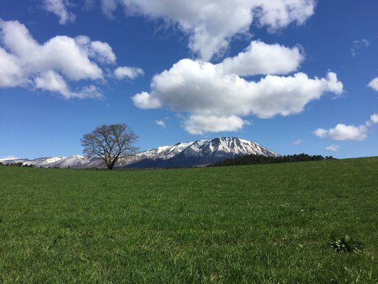 Koiwai Farm