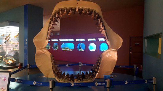 Mokpo Natural History Museum