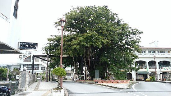 Nago Hinpun Banyan Tree