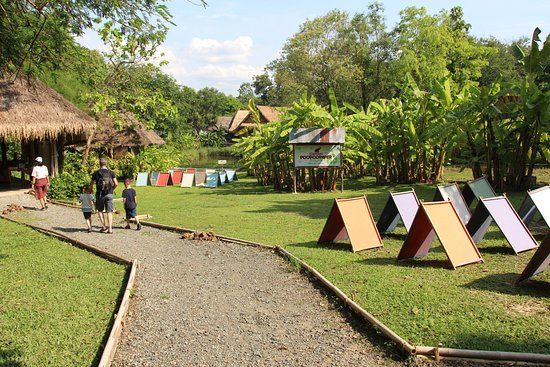 Elephant POOPOOPAPER Park Chiang Mai
