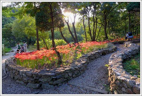 Shingu Botanic Garden