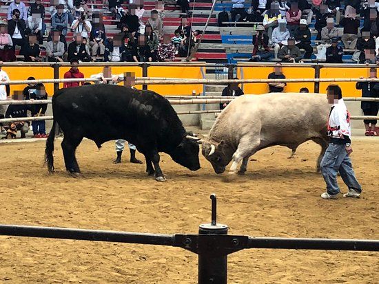 Municipal Bullfights Stadium