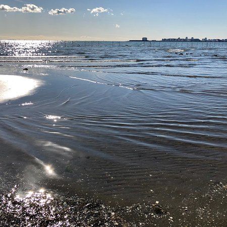 Funabashi Sanbanze Seaside Park