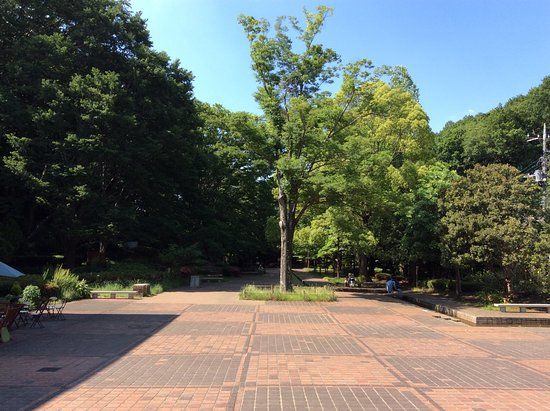 Machida City Museum of Graphic Arts