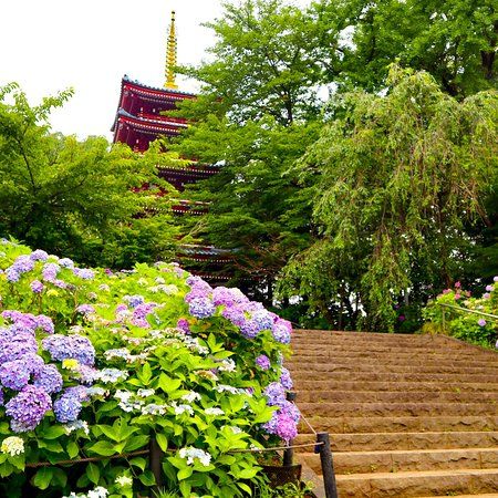 Hondo-ji Temple