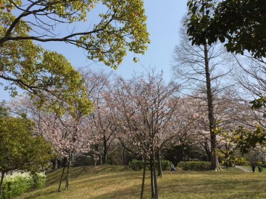 Hirachi Park