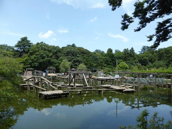 Parque Shimizu